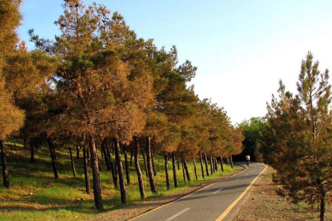 پارک چیتگر