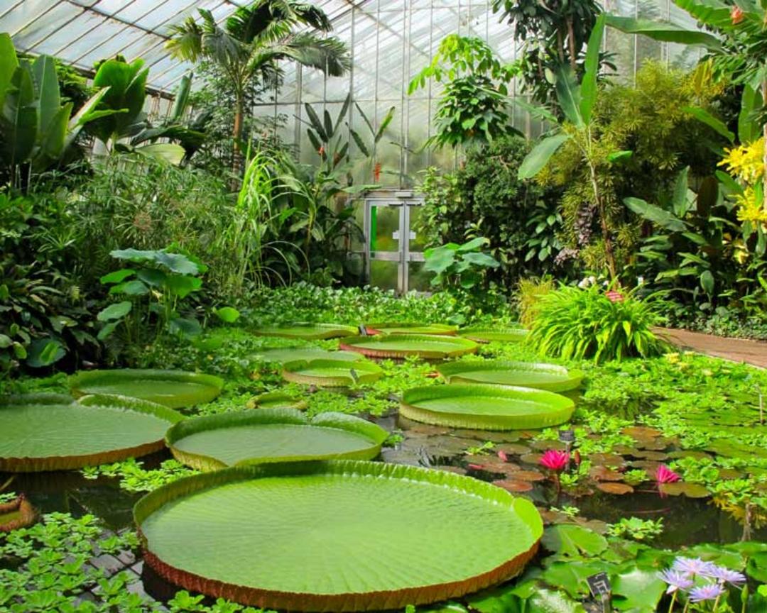 باغ گیاه‌شناسی ادینبرو