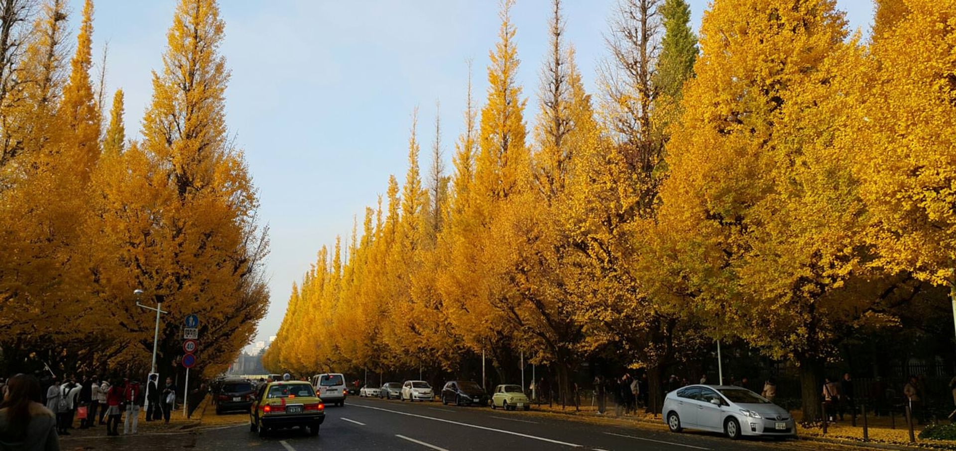 ایچو نامیکی