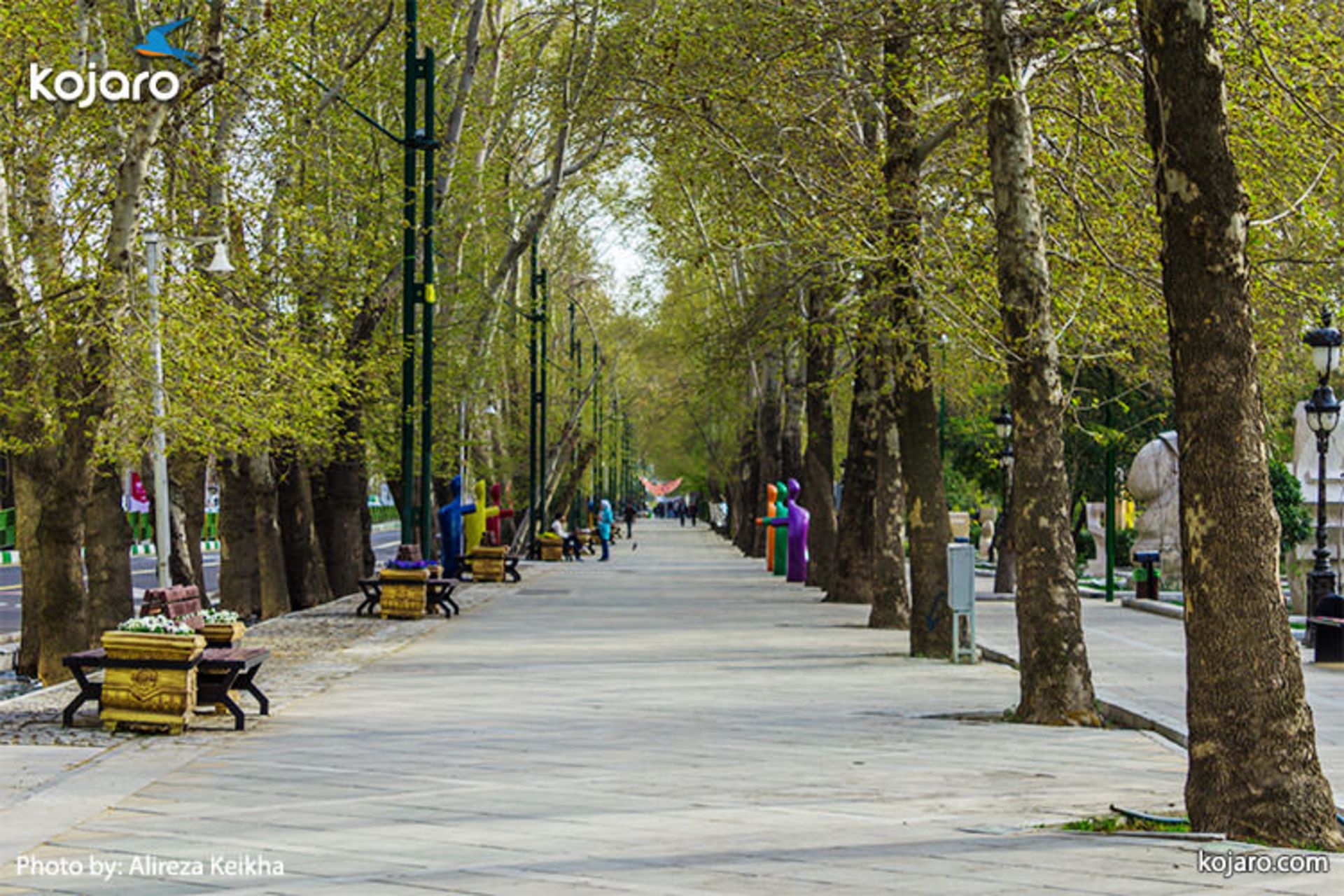 valiasr-street-walkside