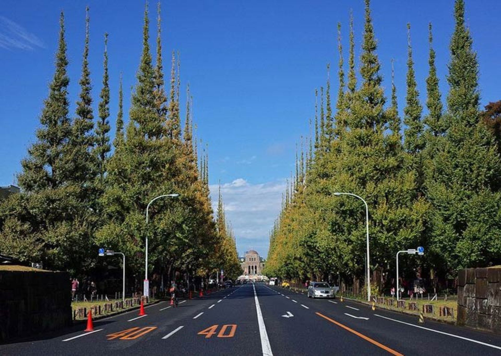 خیابان جینگو2