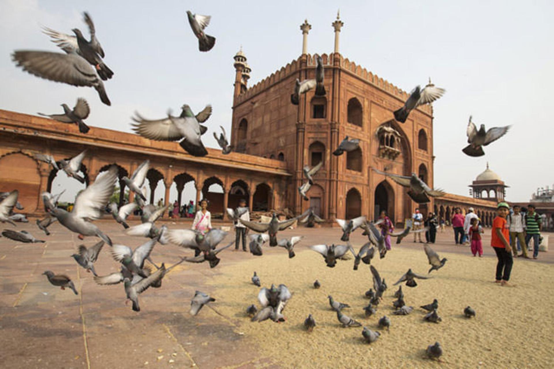 jama-masjid-delhi