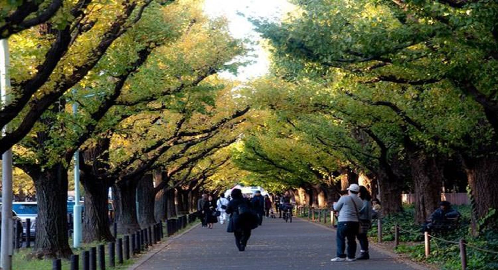 خیابان جینگو11