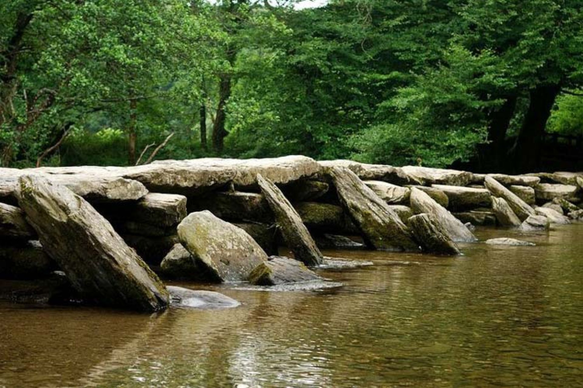 tarr-steps-clapper2