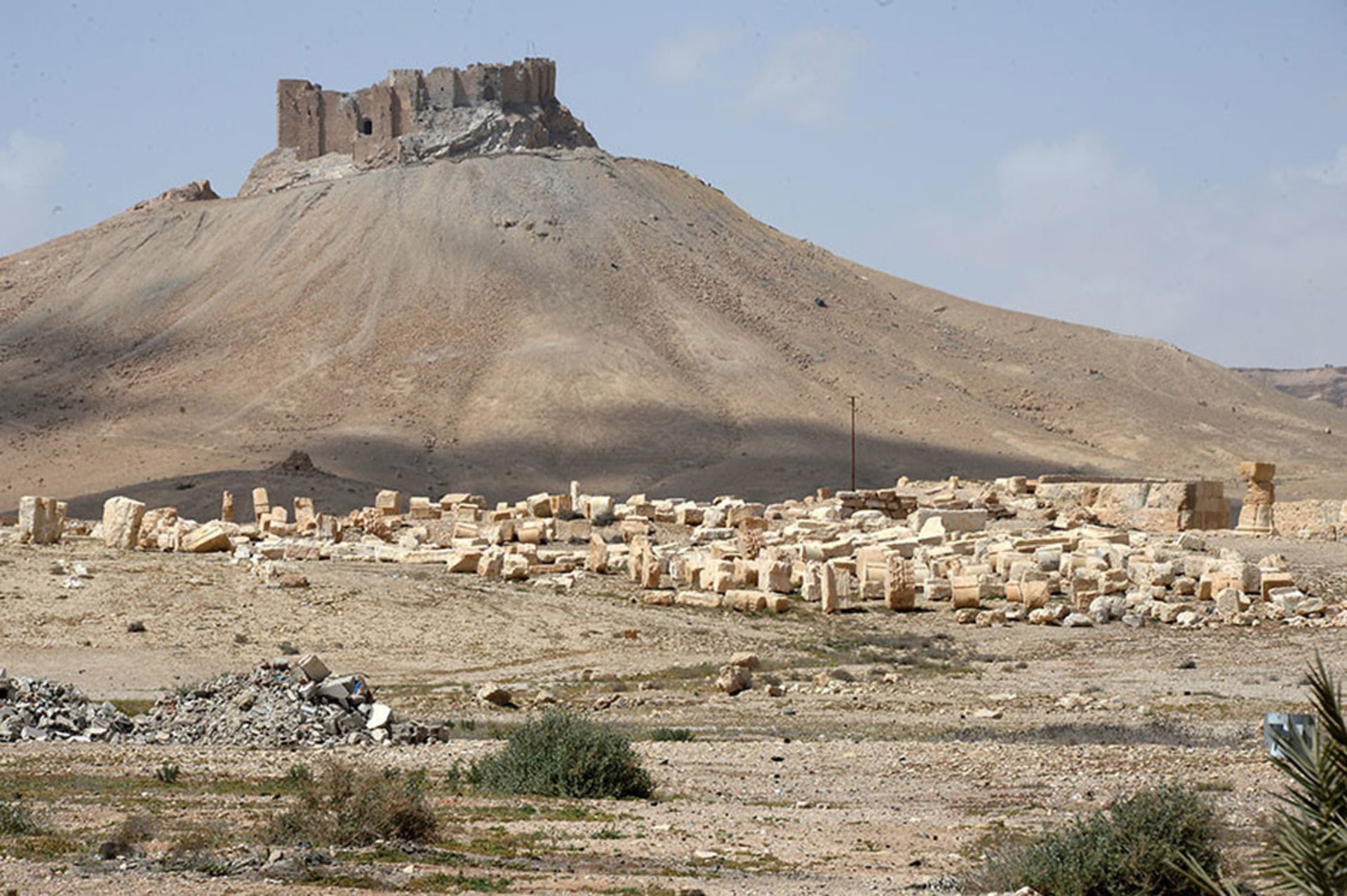 آزادسازی پالمیرا سوریه ۶