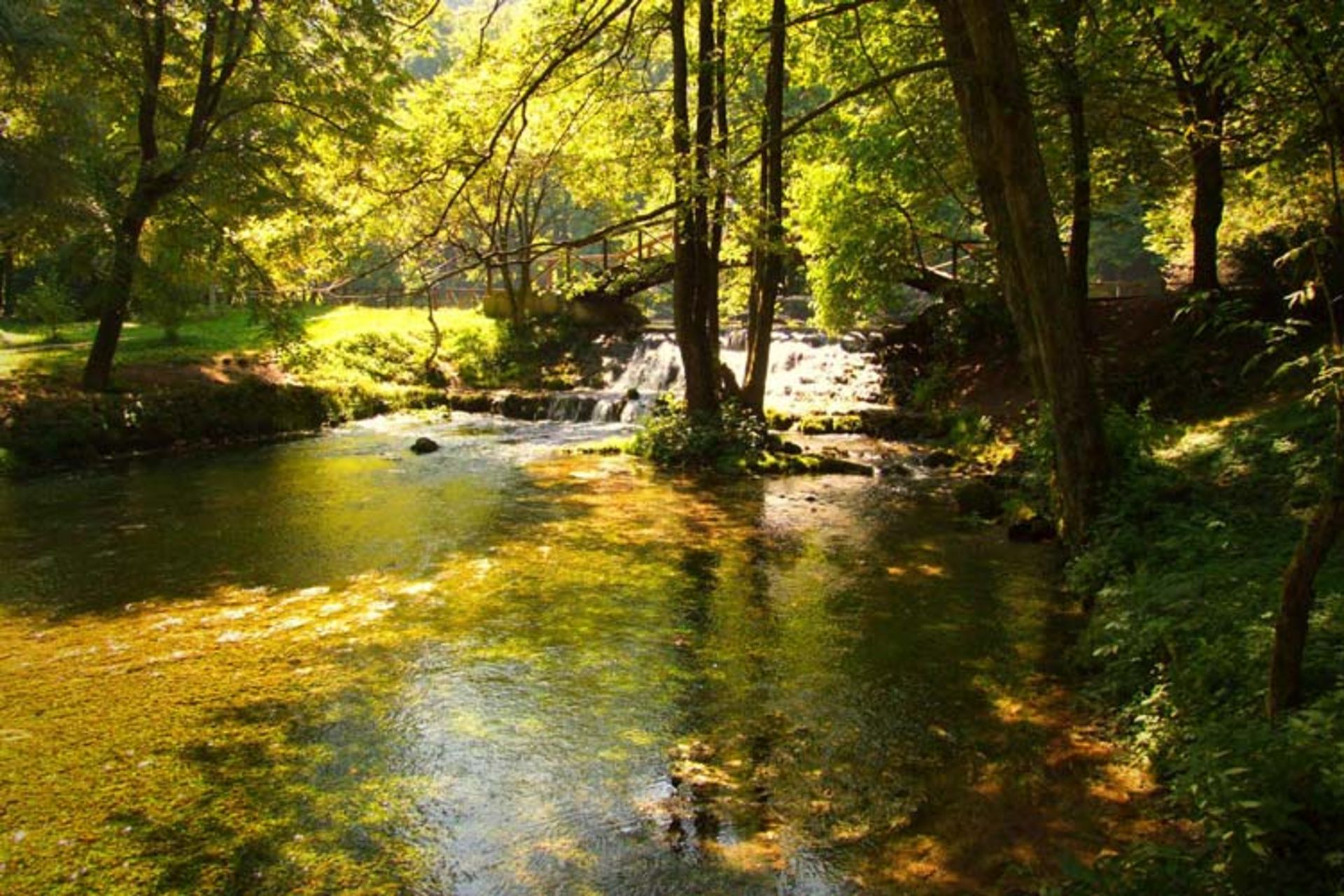 چشمه بوسنی