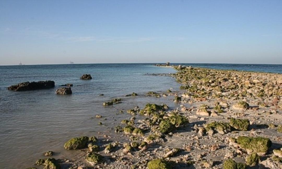 جزیره خارگ