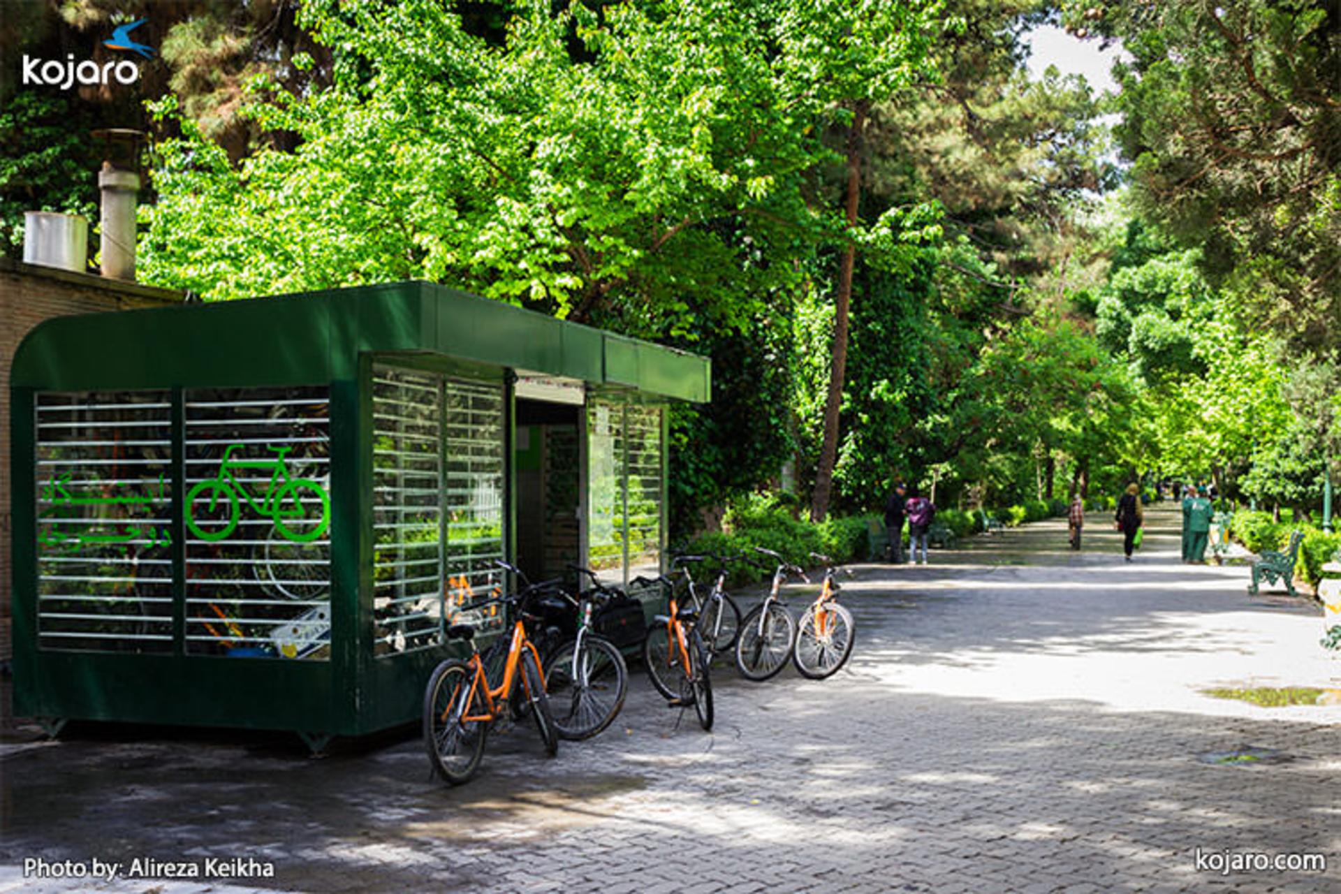 tehran-shahr-park (اجاره دوچرخه در پارک شهر)