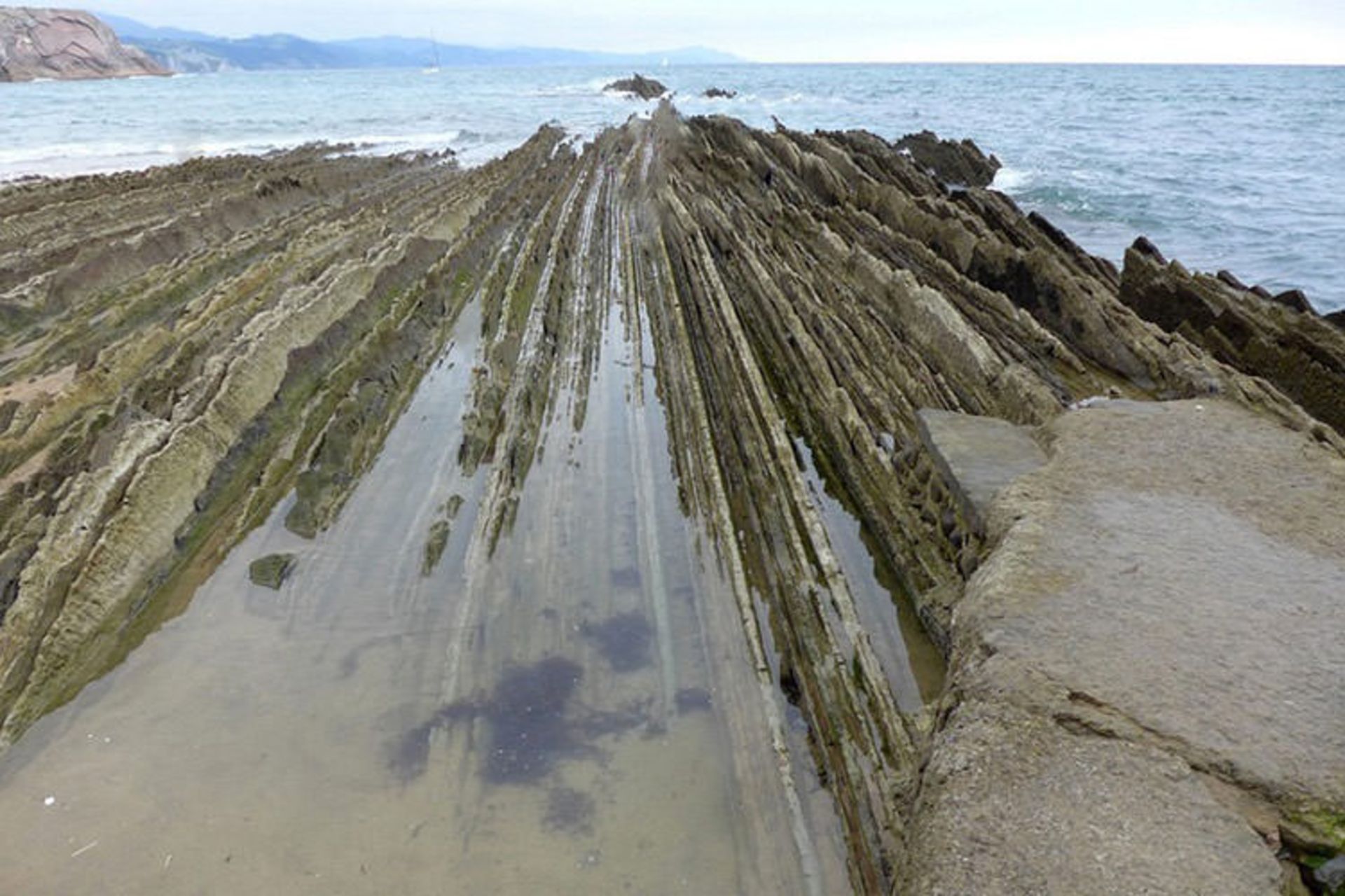 flysch