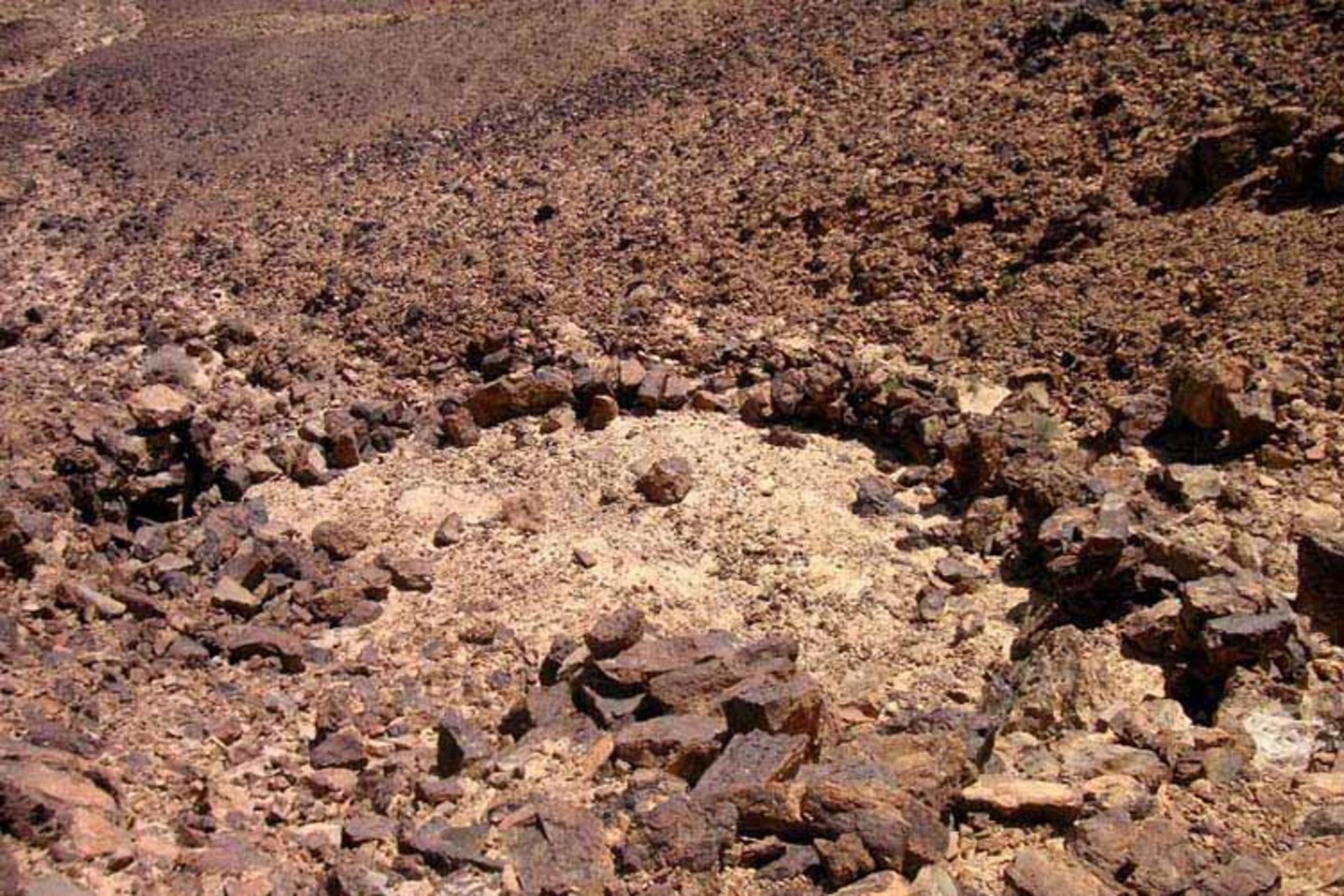 بادبادک‌های صحرایی اسرارآمیز