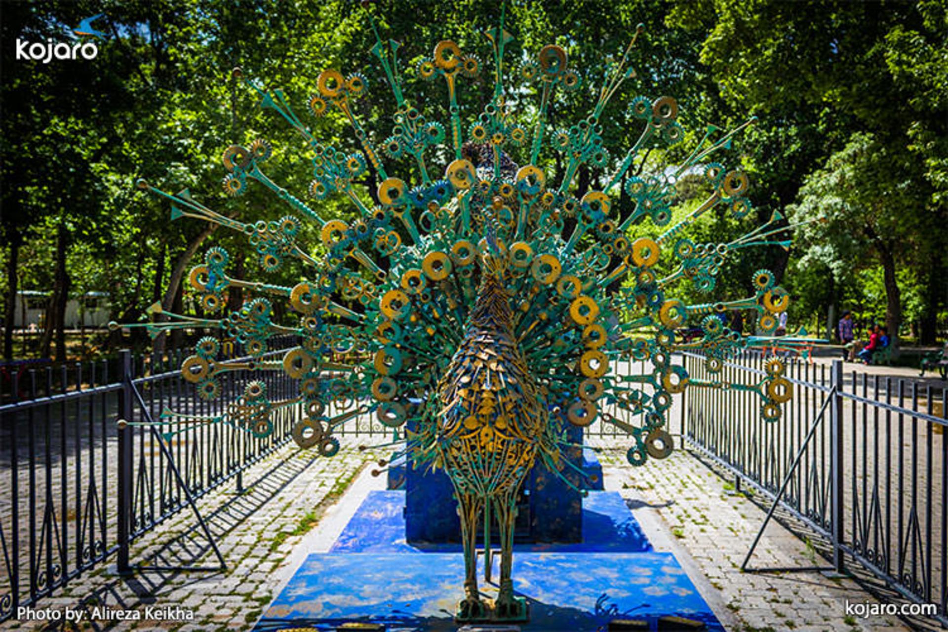 tehran-shahr-park (طاووس‌های پارک شهر در قسمت مرکزی پارک)