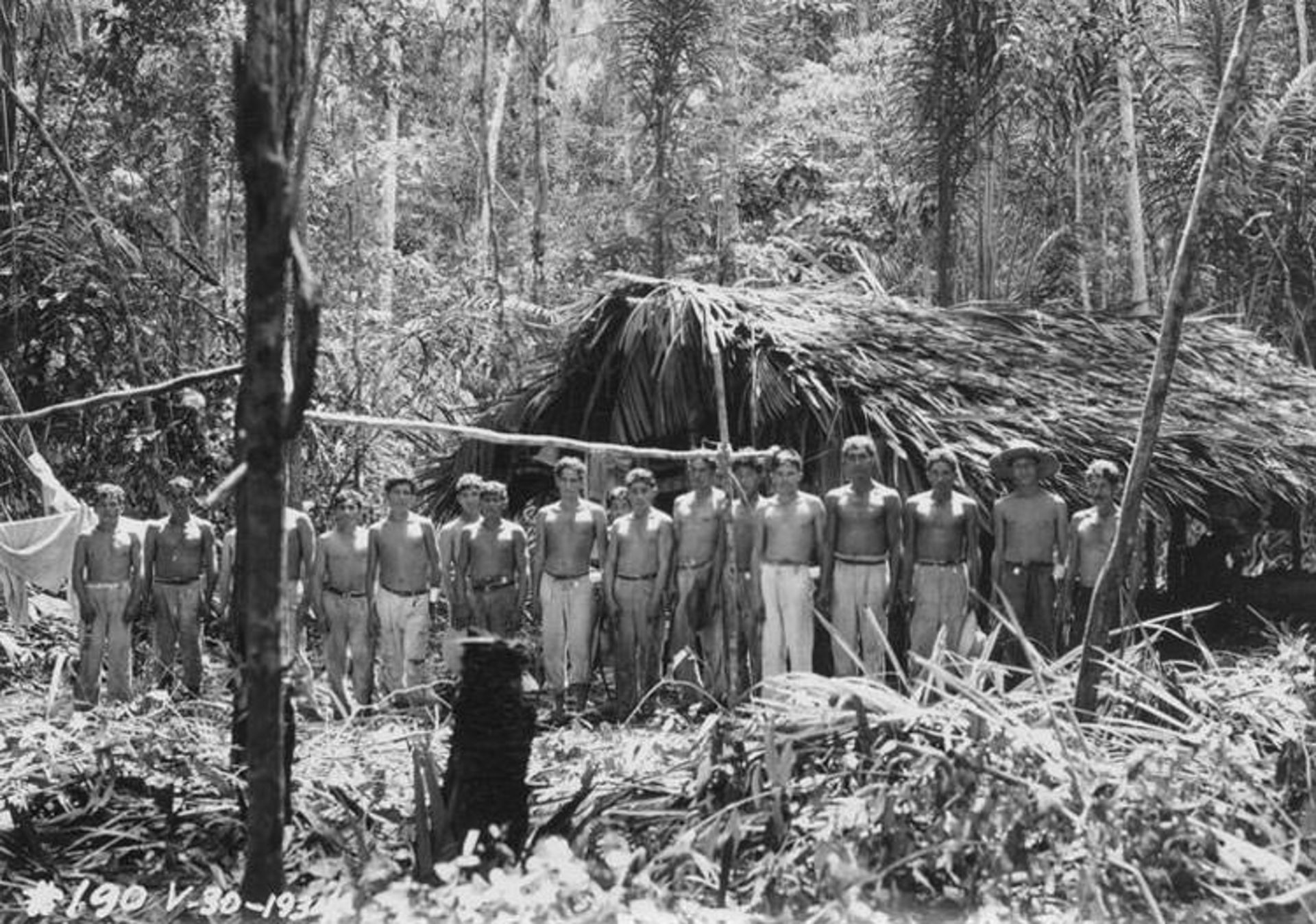 Fordlandia