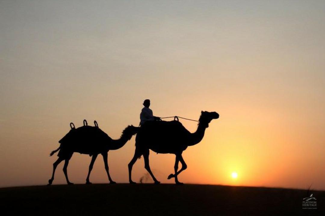 بیابان