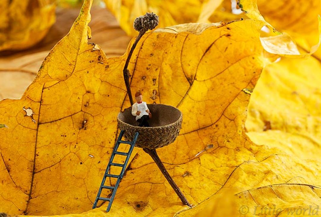 عکاسی بزرگنمایی از آدمک‌های اسباب بازی