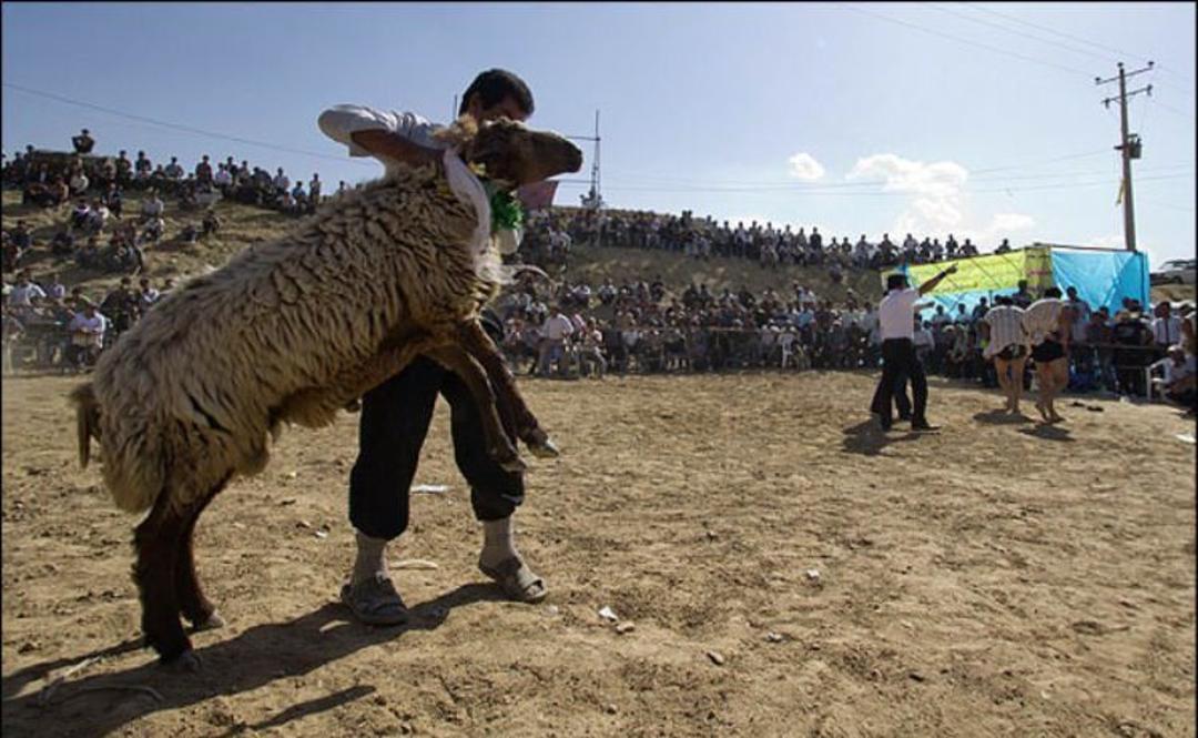 کشتی چوخه