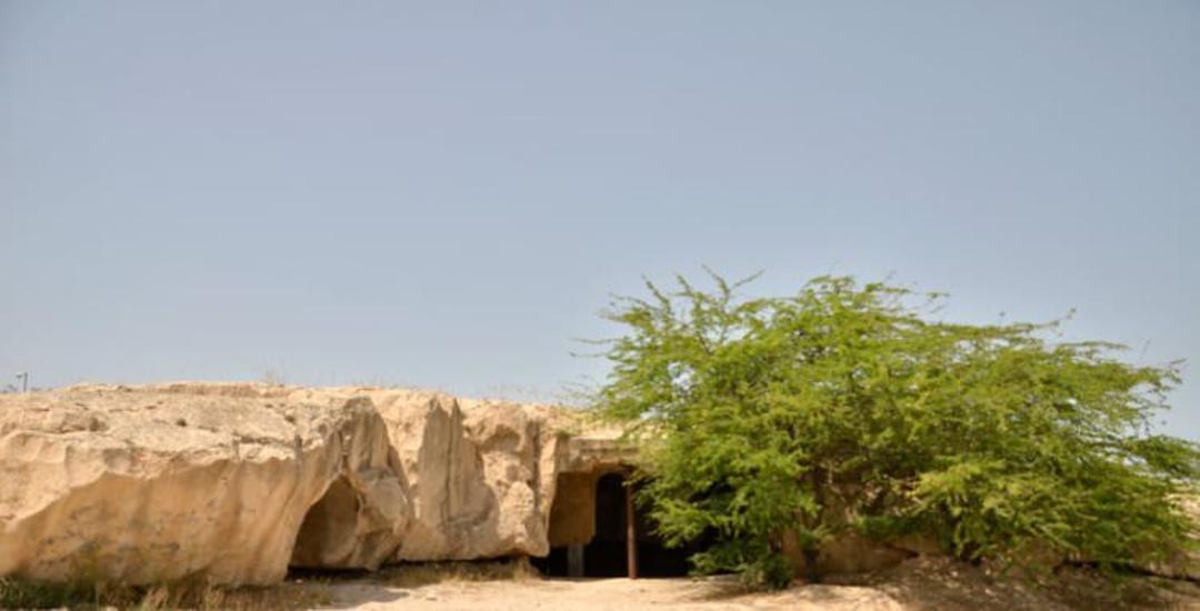 جزیره خارگ