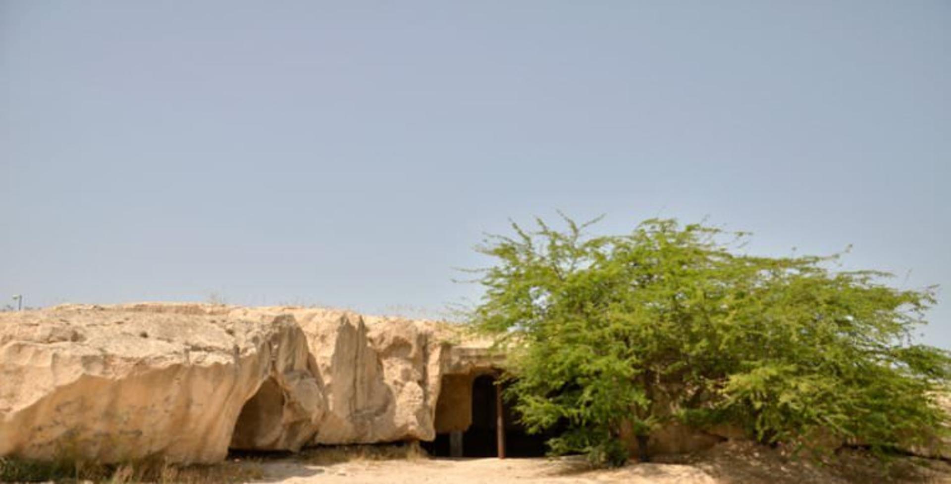 جزیره خارگ