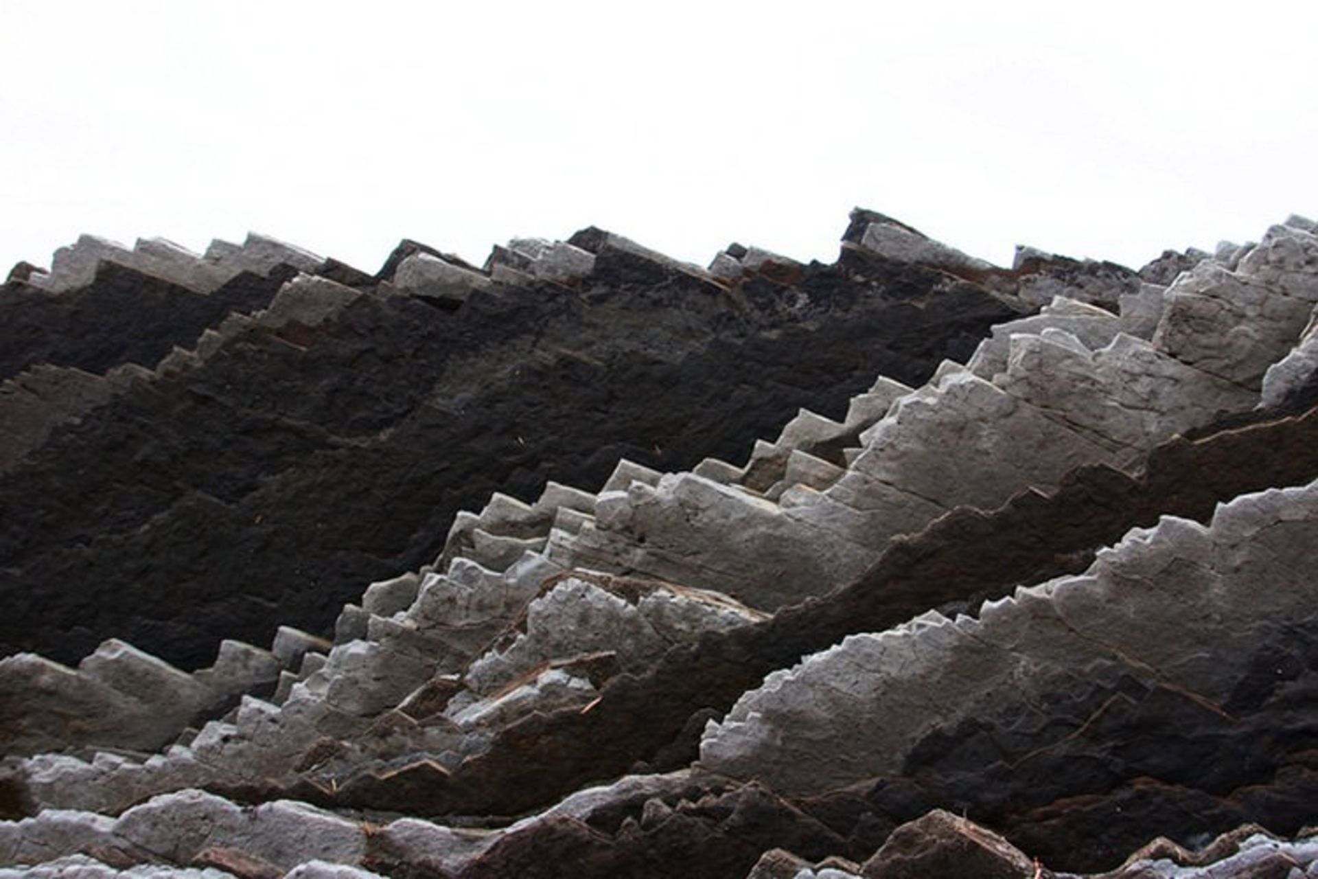flysch
