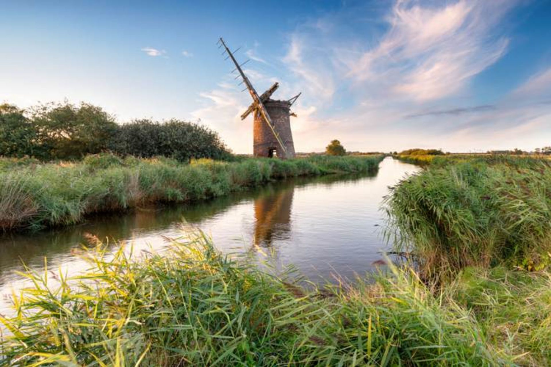پهناب‌های نورفالک (Norfolk)