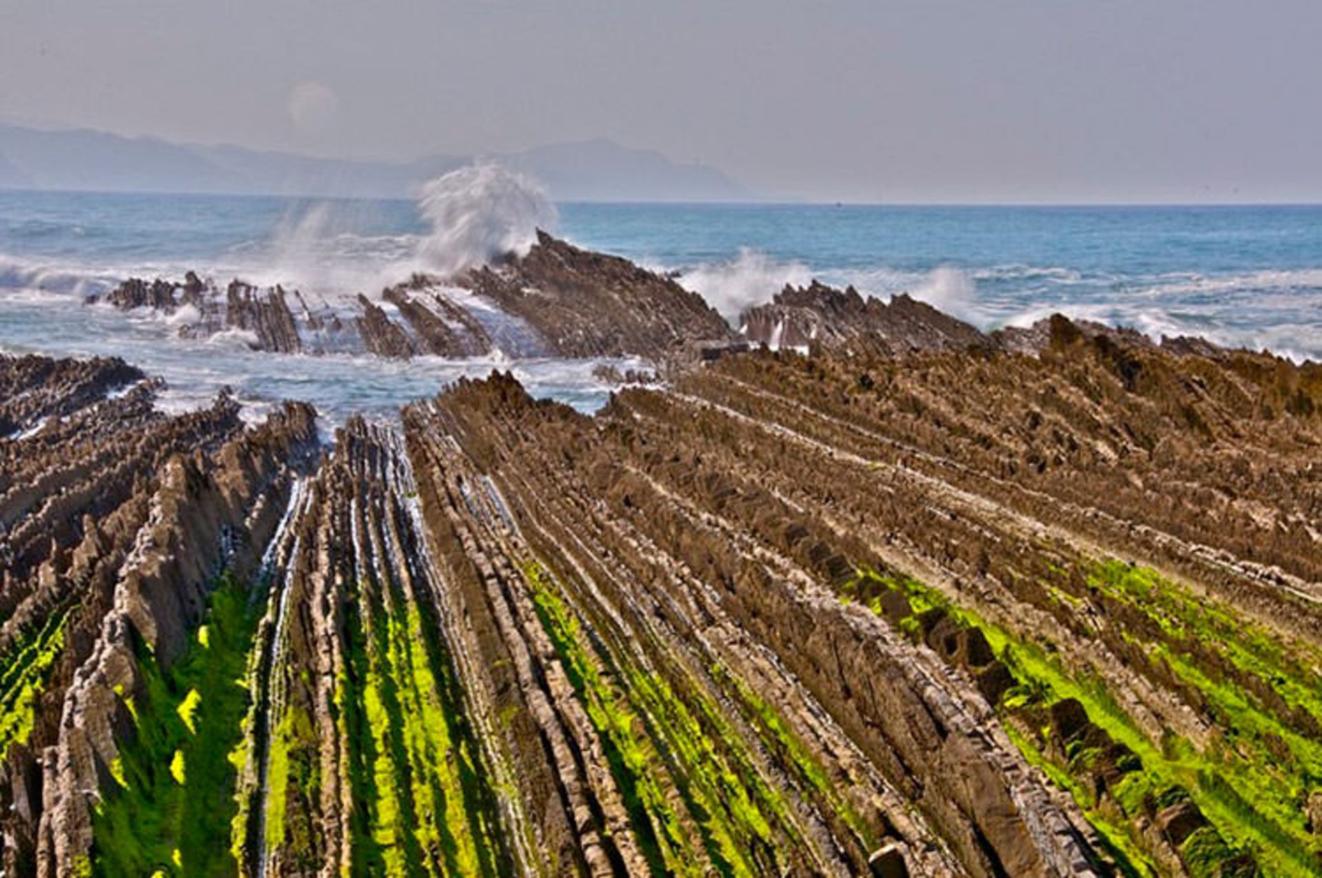 flysch
