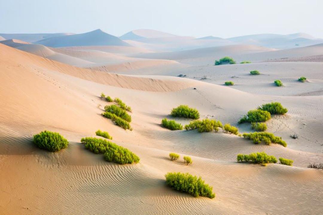 بیابان