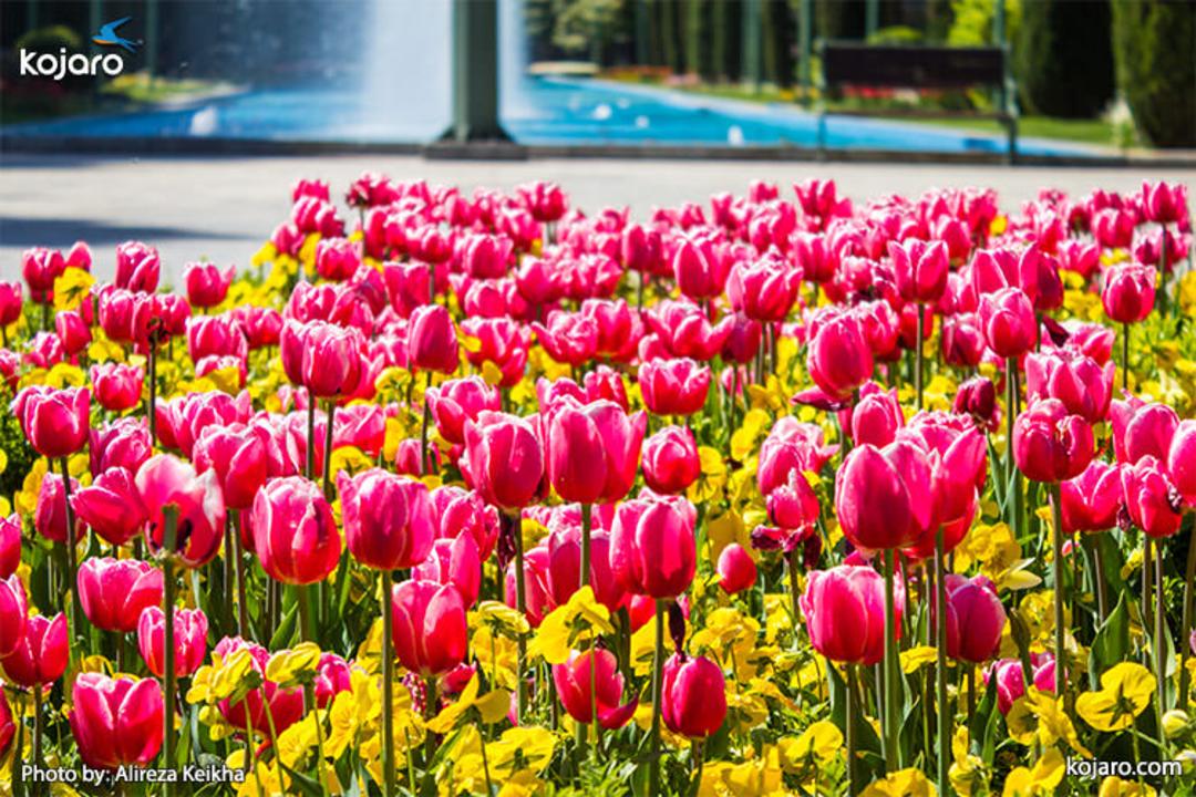 tehran-shahr-park