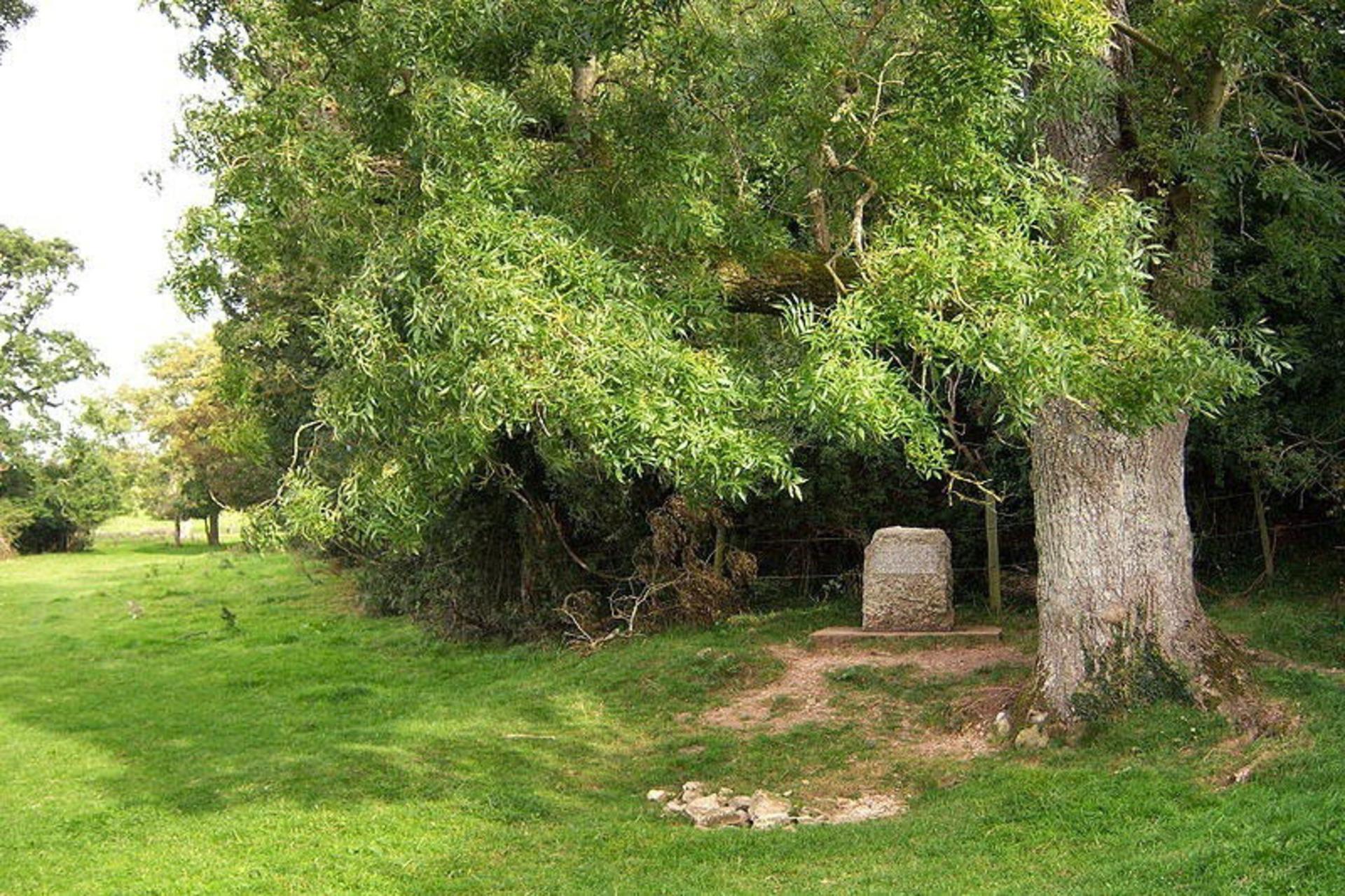 رودخانه تیمز