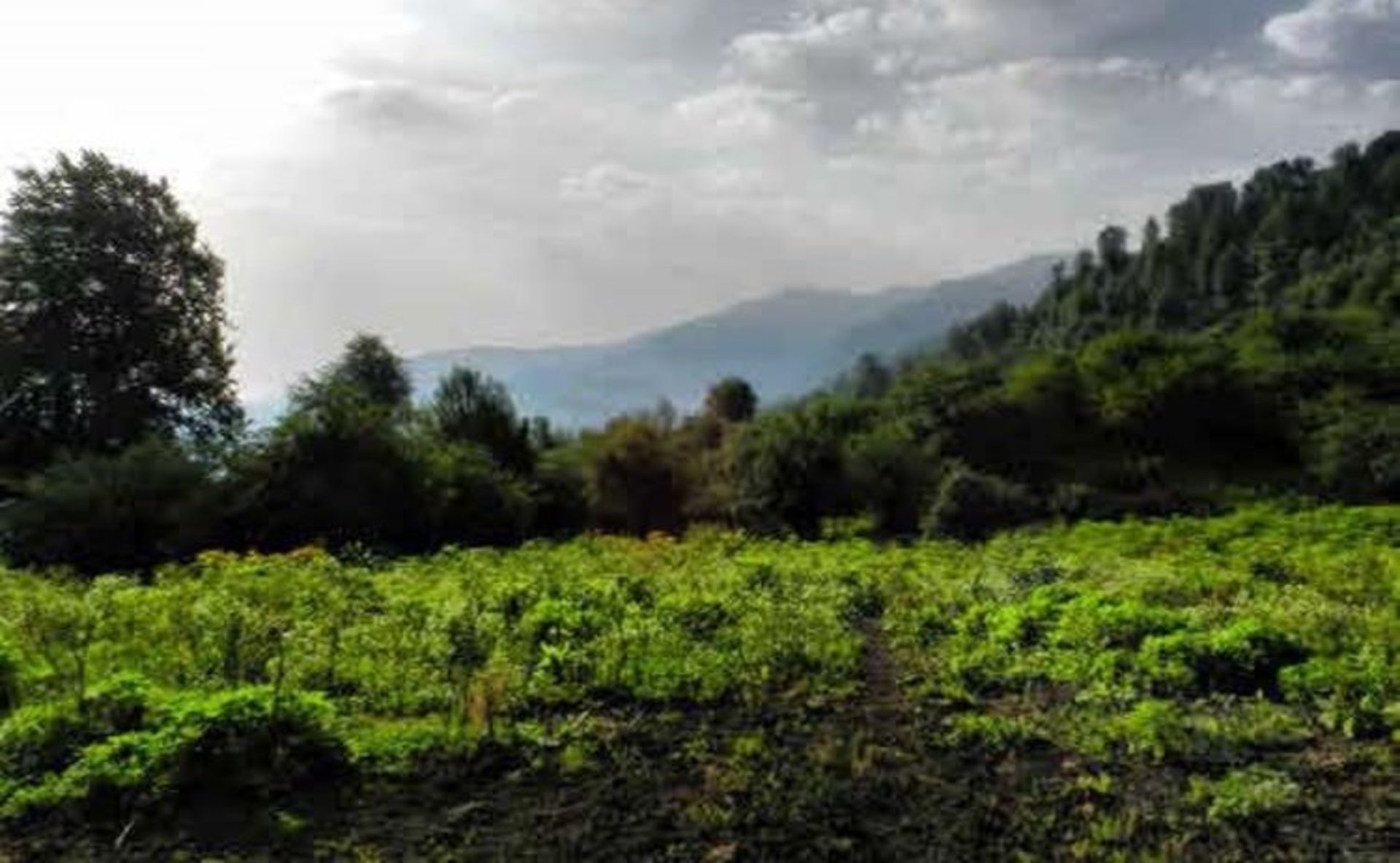 الیمستان