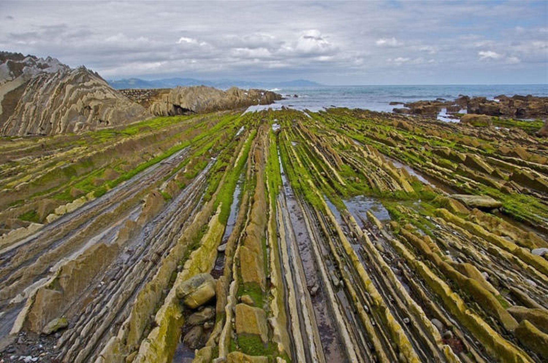 flysch