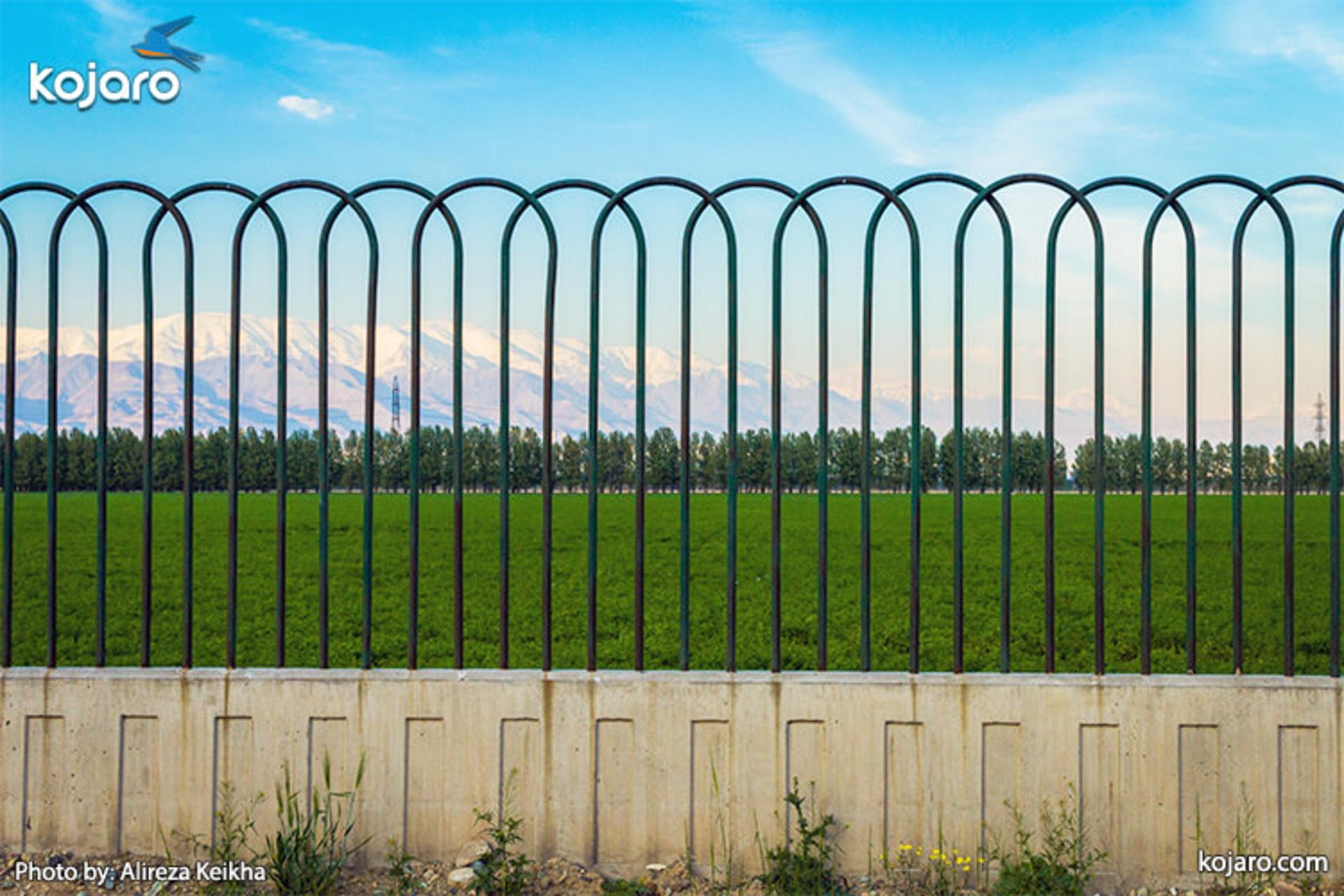 farm-fence