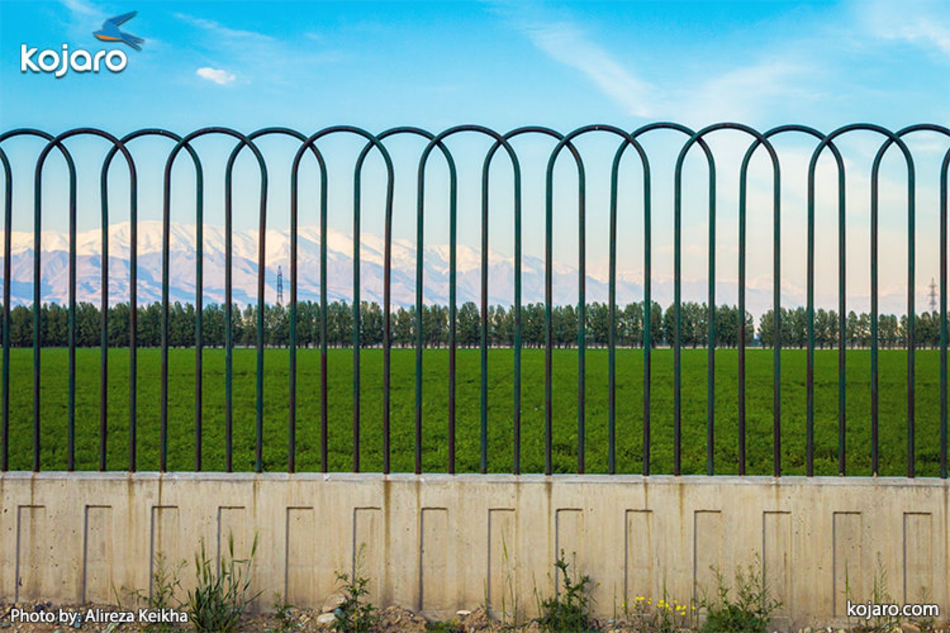 farm-fence