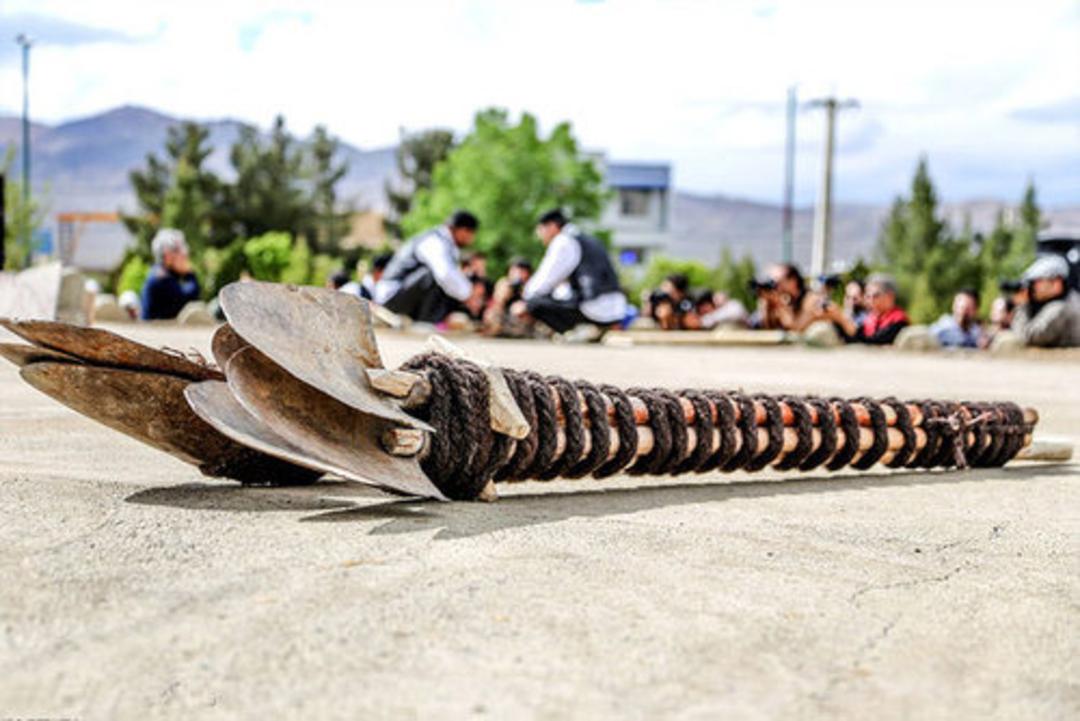 بیل گردانی 