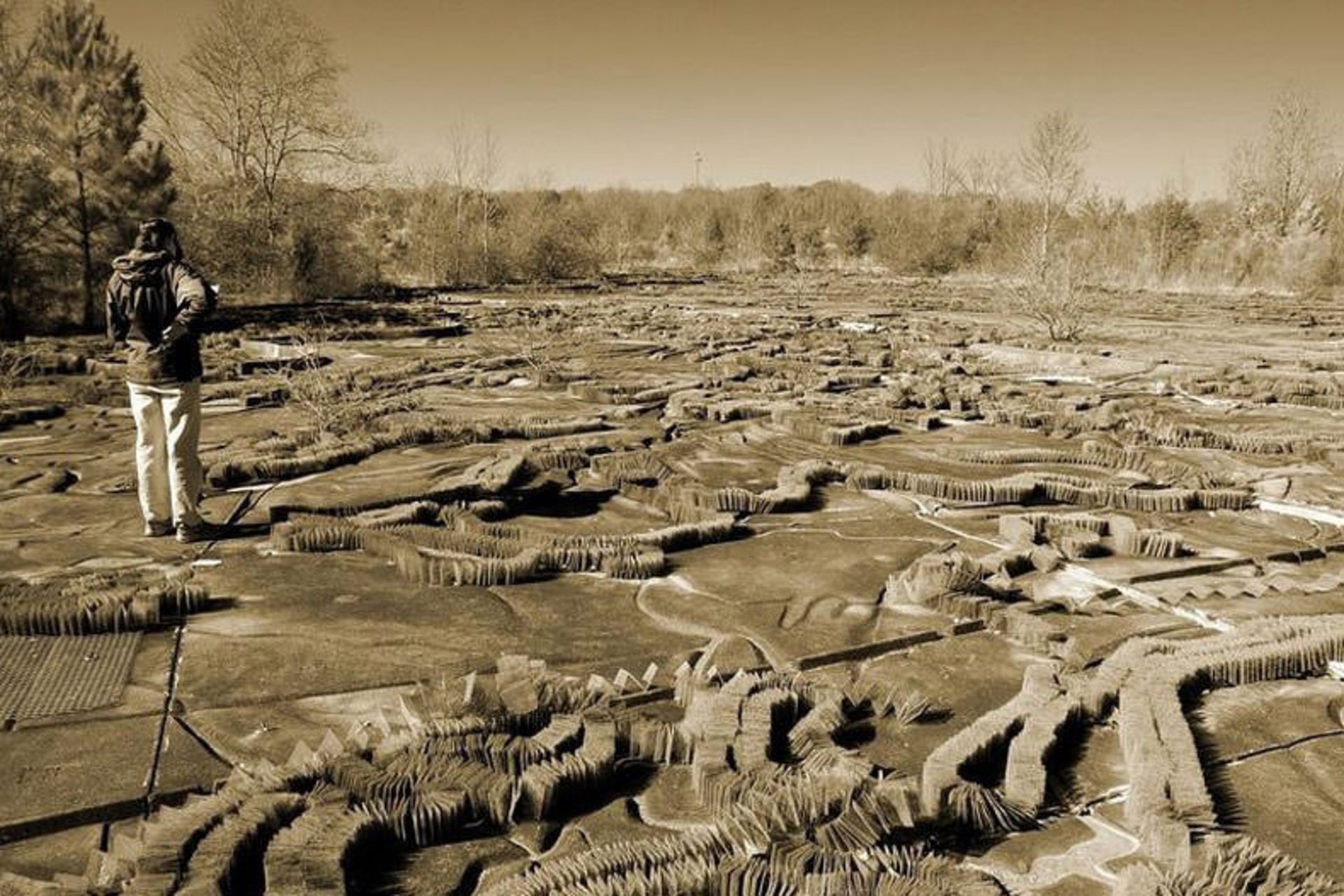 Mississippi River Basin Model