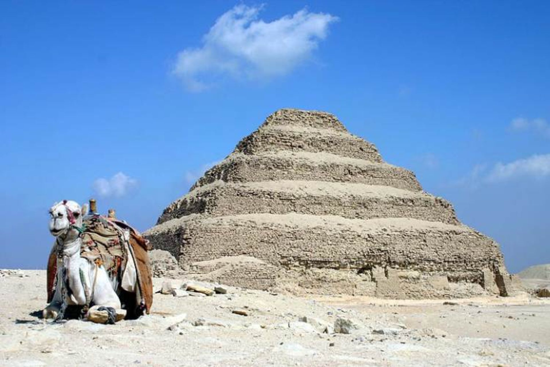مصر