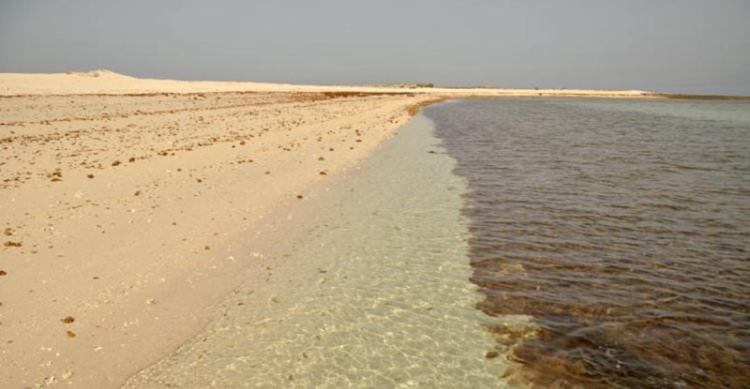 جزیره خارگ