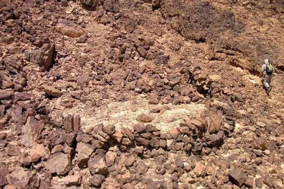 بادبادک‌های صحرایی اسرارآمیز