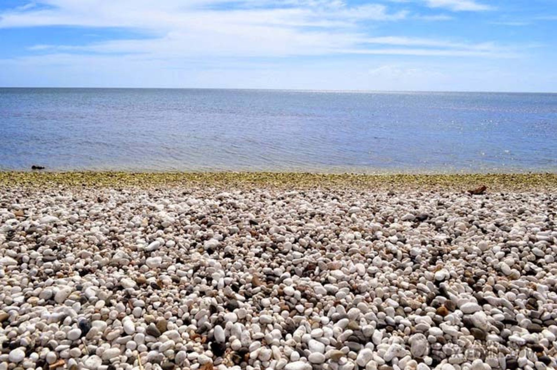 ساحل سنک سفید