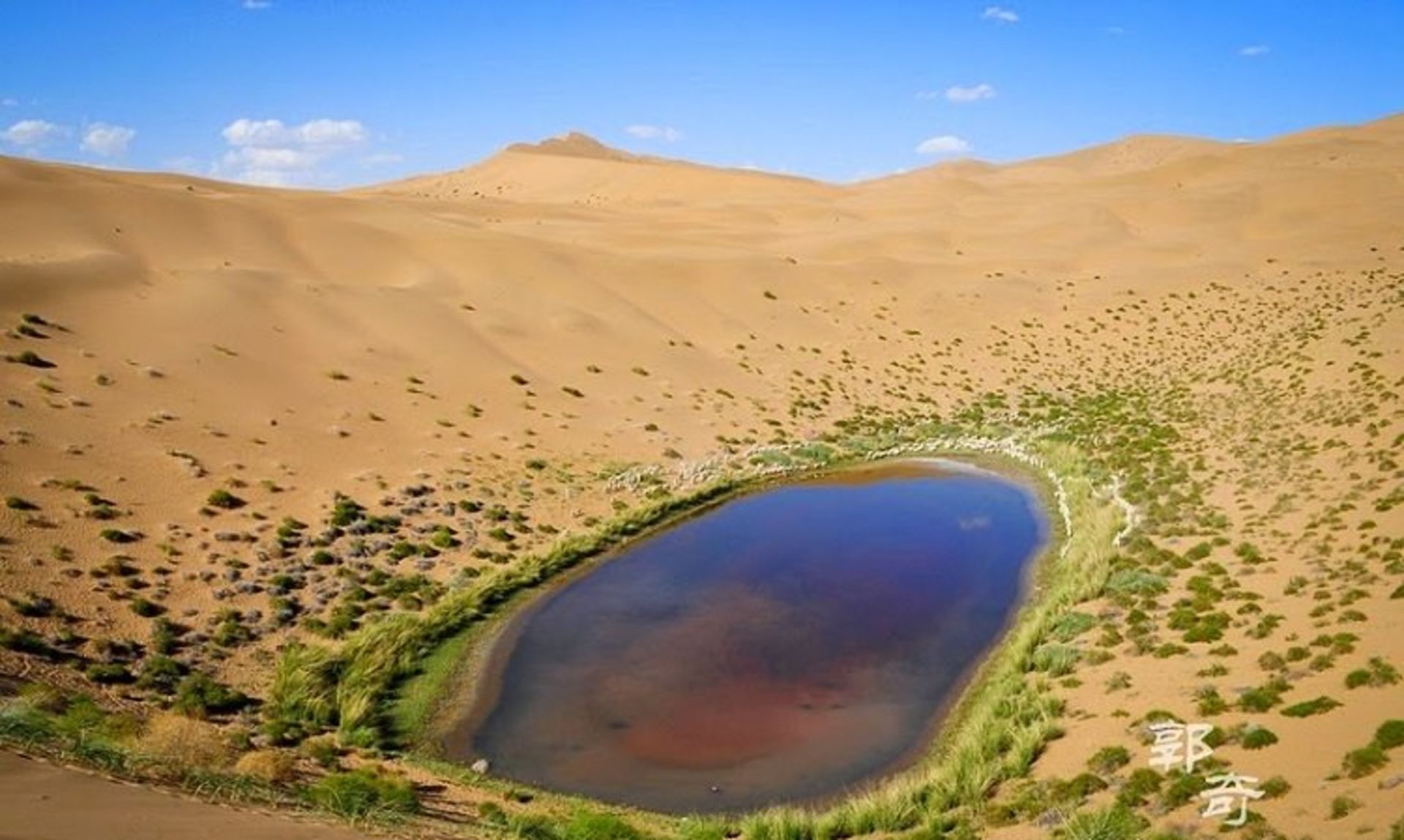 باداین جاران