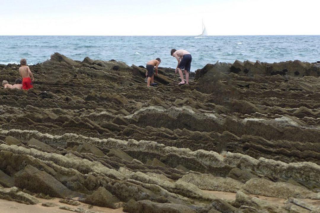flysch