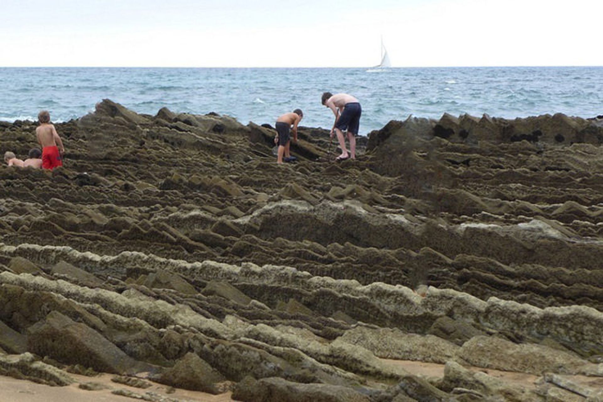 flysch