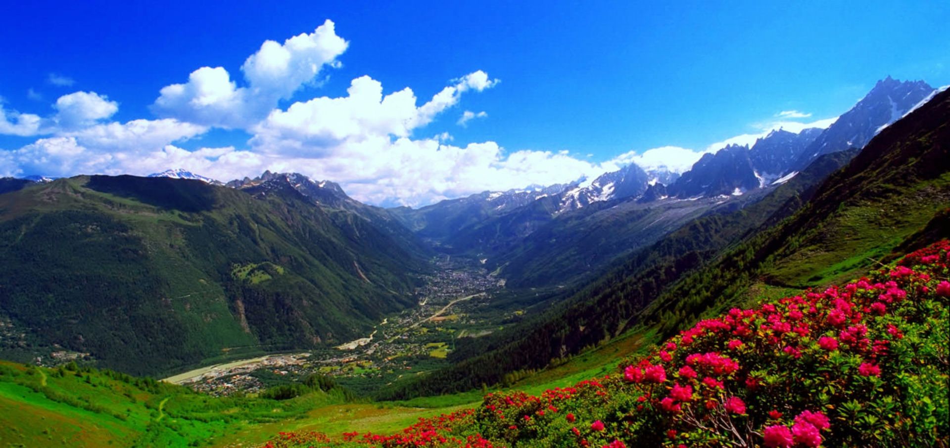 کوه های کارپات