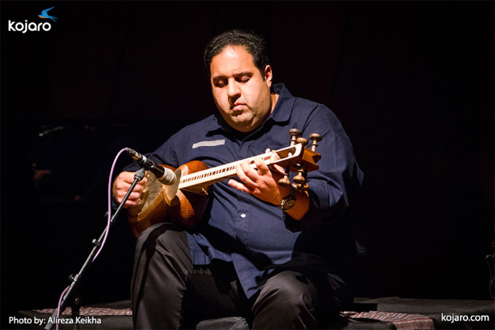 night-of-persian-music-instrument-singing