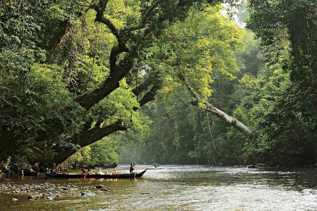 تامان نگارا