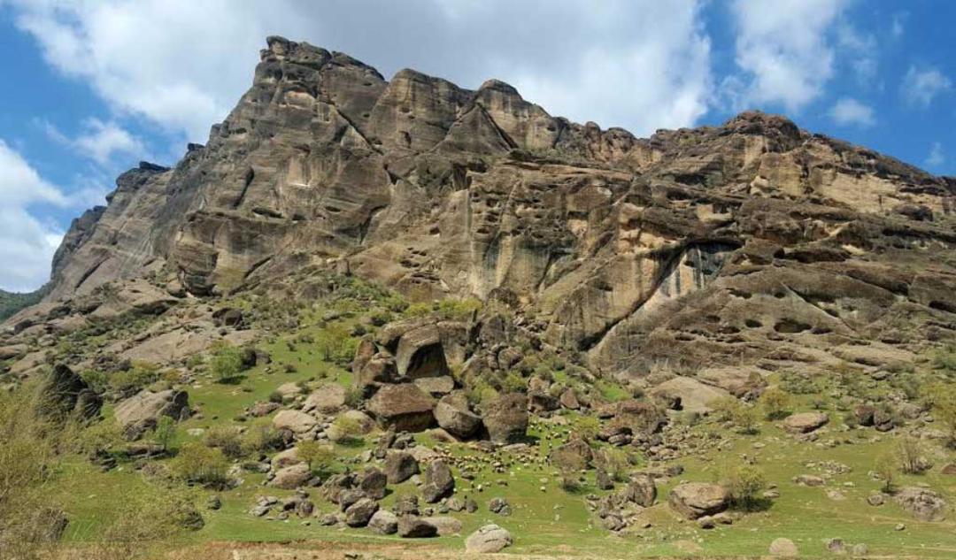 عکاسباشی