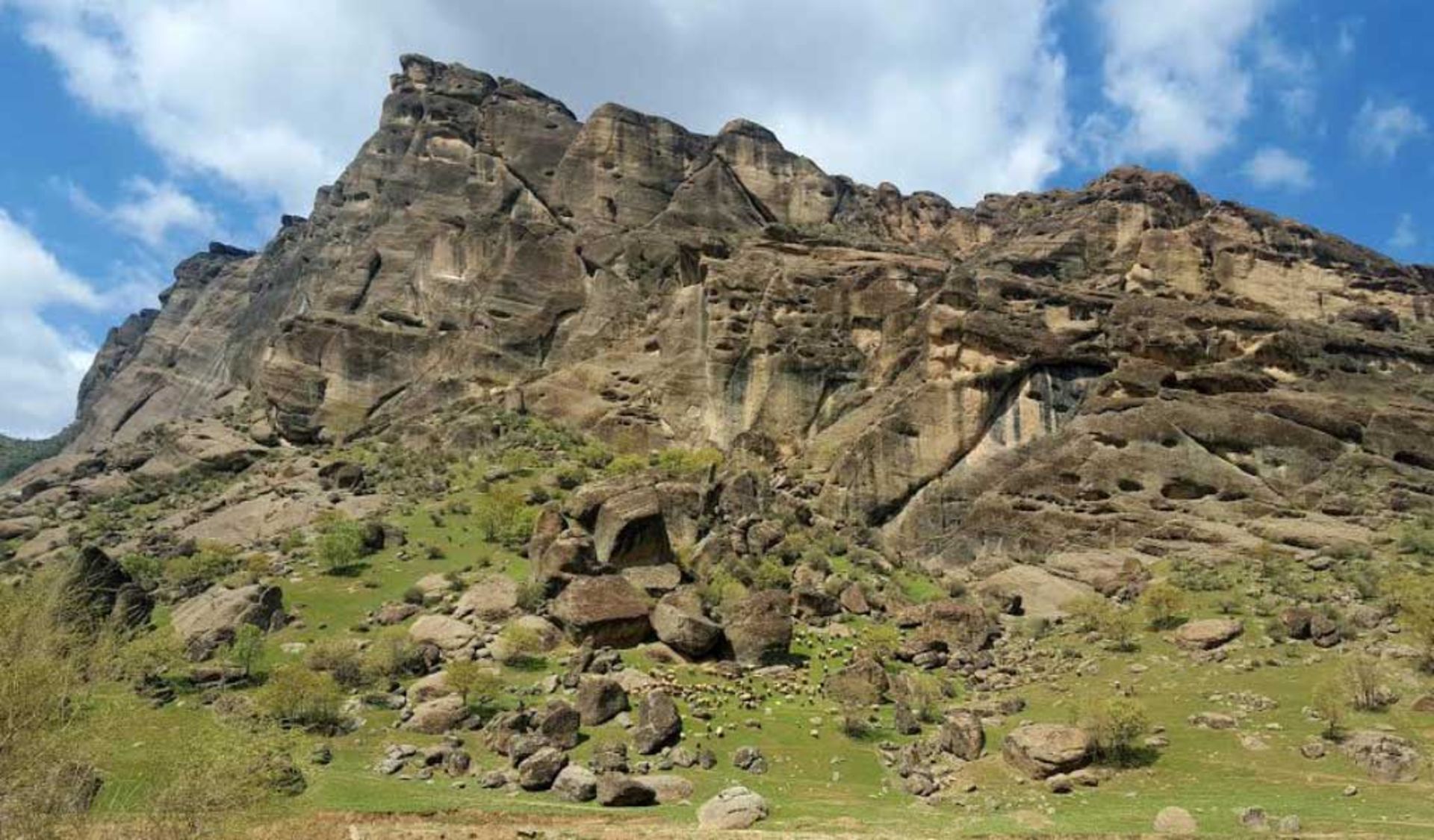 عکاسباشی