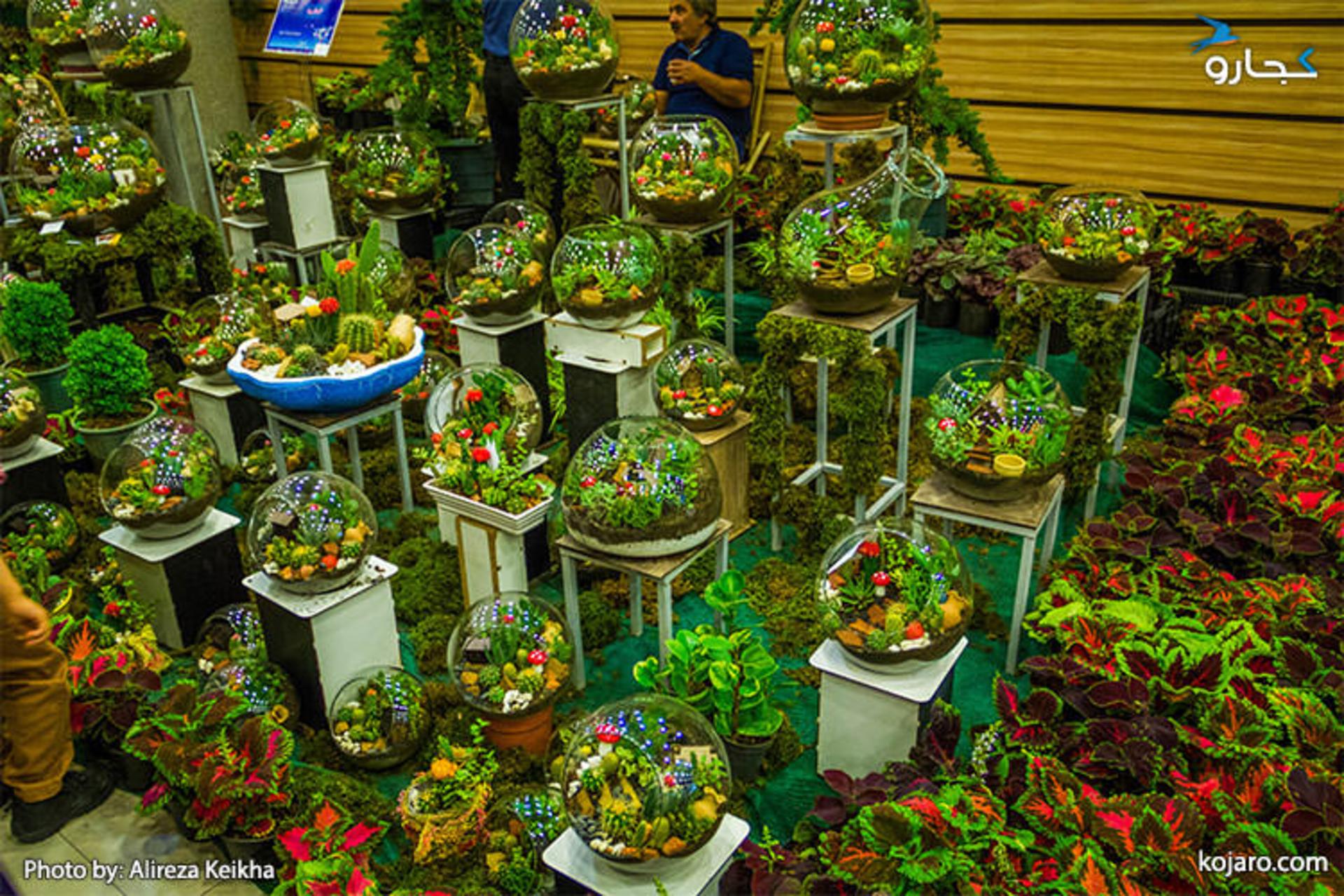 tehran-interbational-folwer-plants-exhibition