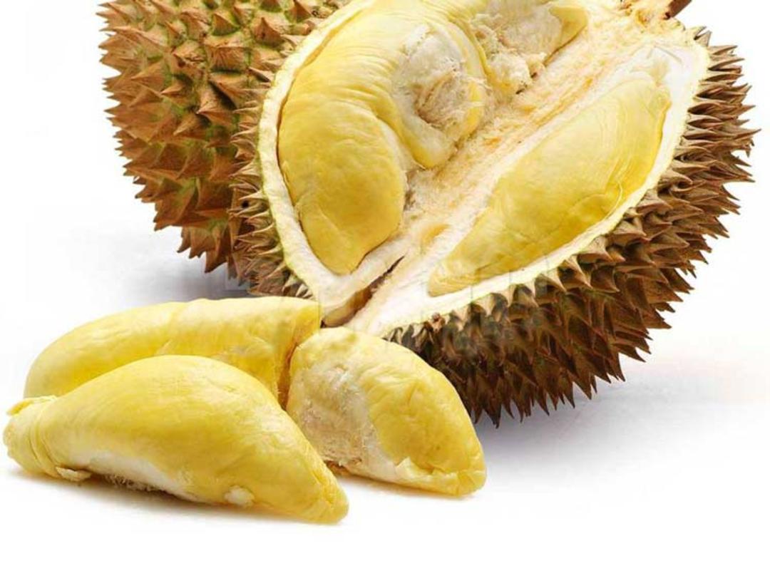 میوه های عجیب دورین