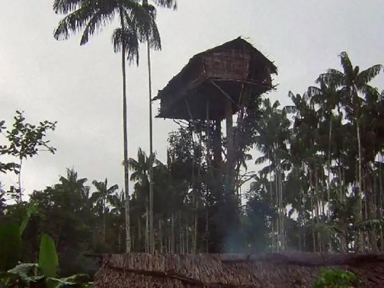 treehouse