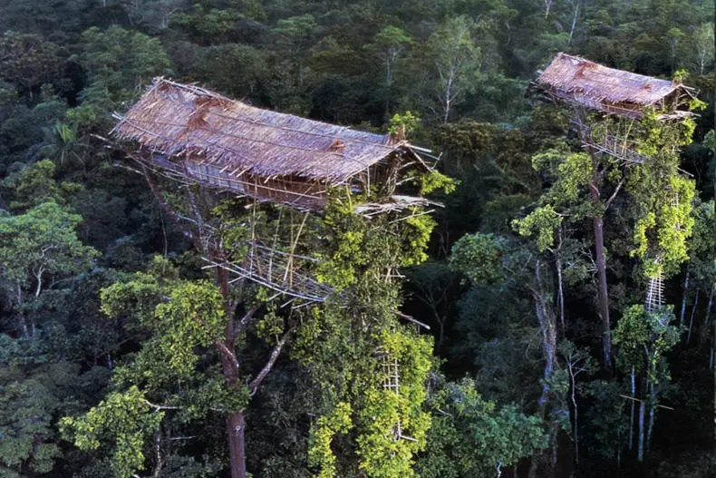 treehouse