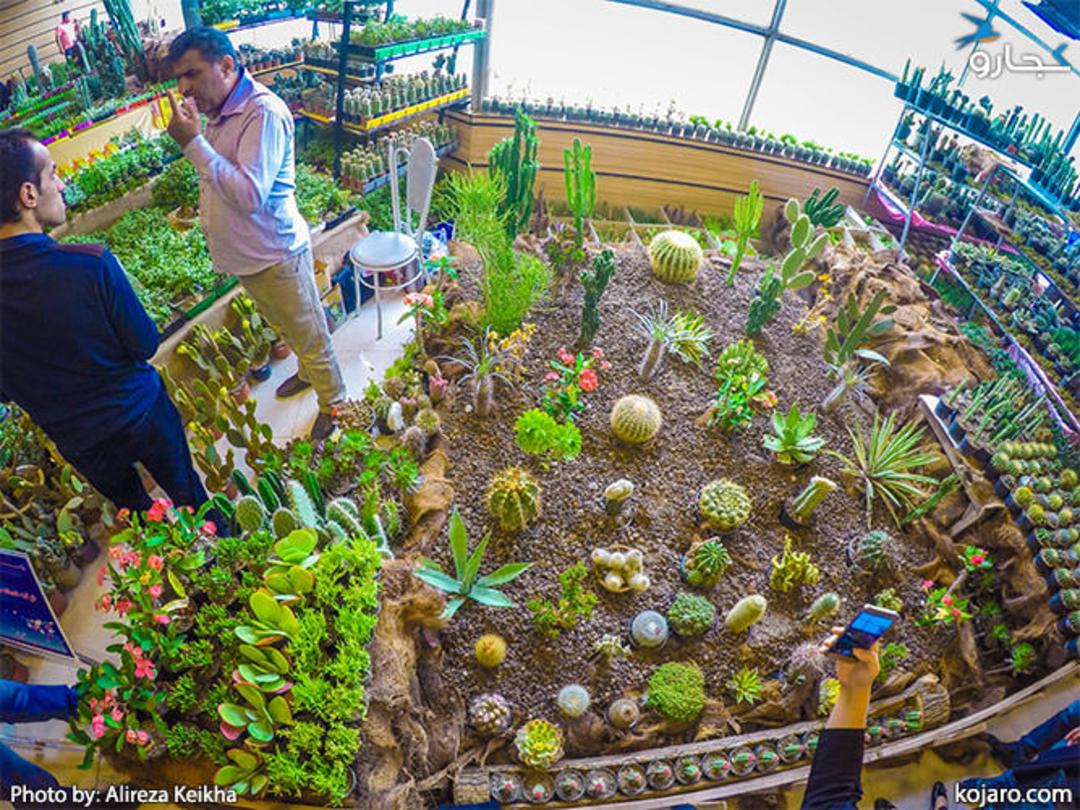 tehran-interbational-folwer-plants-exhibition